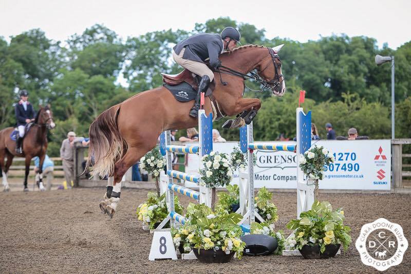 Show Jumping Horses For Sale UK